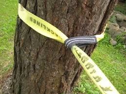 comprar Fita de Equilíbrio Personalizada em Poliéster para Esportes ao Ar Livre online manufacture