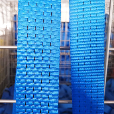 comprar 5000KG amarram para baixo a largura do rolo 75mm do Webbing do poliéster da correia online manufacture
